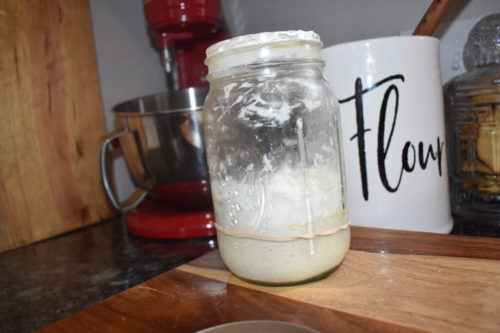 Sourdough starter that has flour added